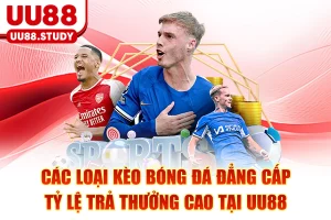 Các Loại Kèo Bóng Đá Đẳng Cấp Tỷ Lệ Trả Thưởng Cao Tại UU88