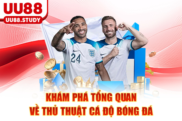 Khám phá tổng quan về thủ thuật cá độ bóng đá