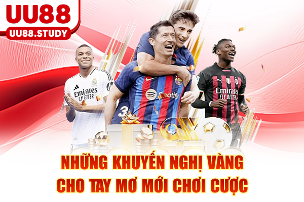 Những khuyến nghị vàng cho tay mơ mới chơi cược